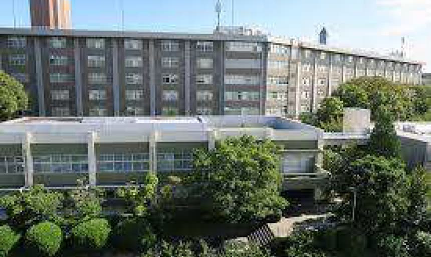 大学